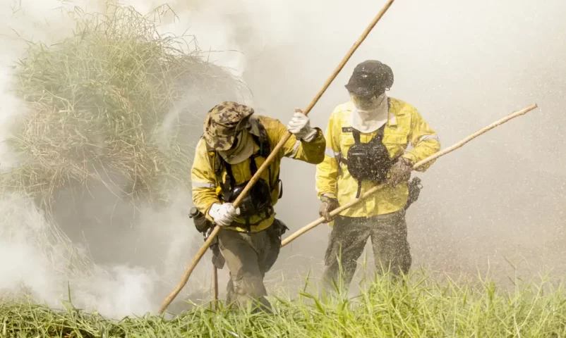 Brigadistas tentam controlar as chamas. Foto: EBC.